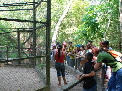 pessoas olha a jaula