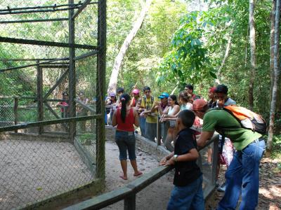 Imagem mostra pessoas observado um zoológico