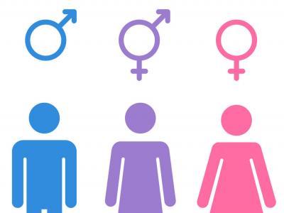 Imagem mostra símbolos dos gêneros masculino e feminino 