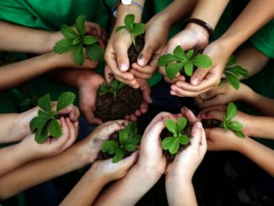 A imagem mostra várias crianças segurando mudas de plantas