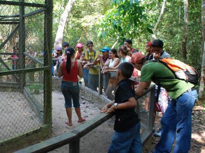 Imagem mostra visitantes no zoológico 