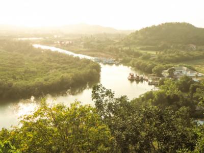 Imagem mostra Amazônia