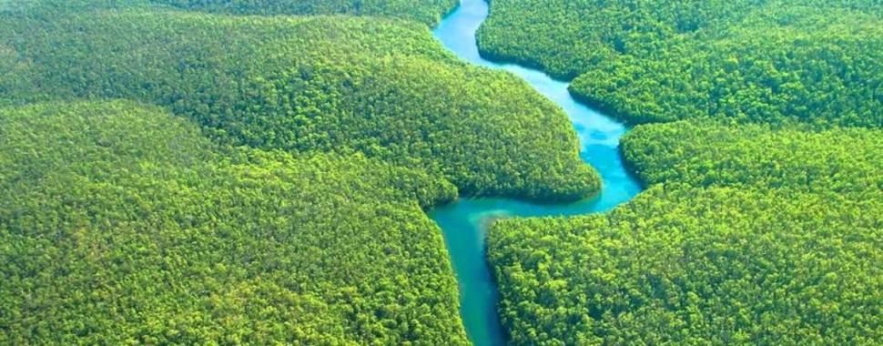 A Floresta Amazônica representa mais da metade das florestas tropicais do mundo