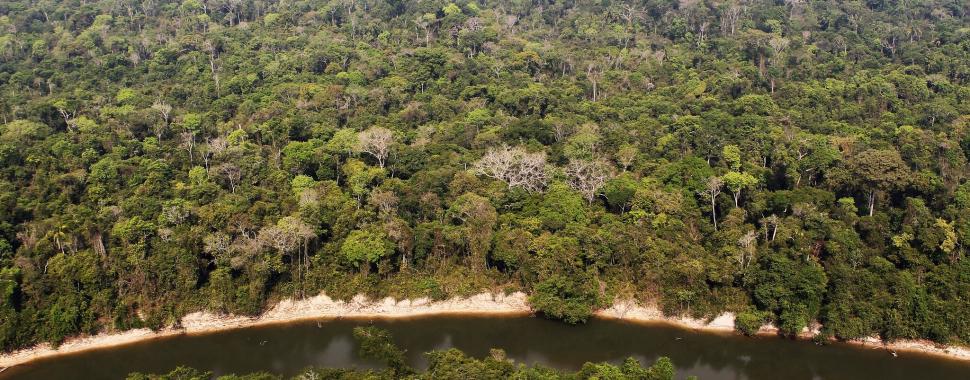 Brasil precisa priorizar a agenda ambiental para salvar a Amazônia/ Felipe Werneck/Ibama