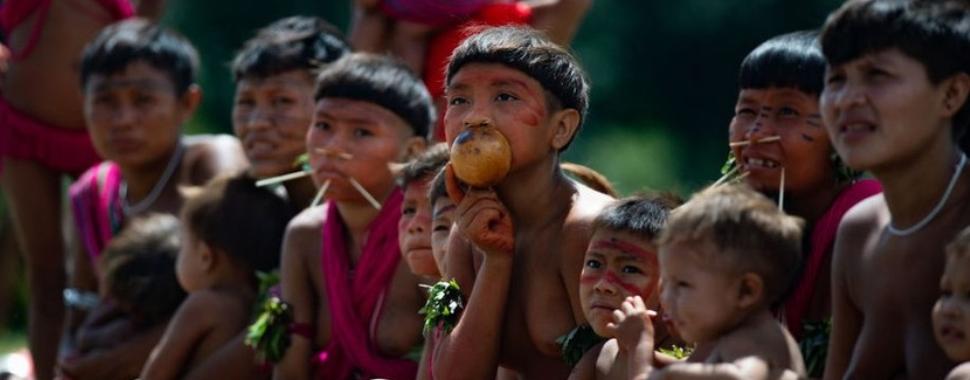 Grupo de indigenas Yanomamis