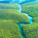 A Floresta Amazônica representa mais da metade das florestas tropicais do mundo