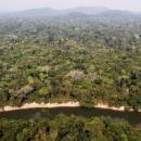 Brasil precisa priorizar a agenda ambiental para salvar a Amazônia/ Felipe Werneck/Ibama
