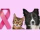 Imagem mostra um gato e um cachorro e o símbolo do outubro rosa