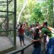 Imagem mostra pessoas no Zoológico da UNAMA